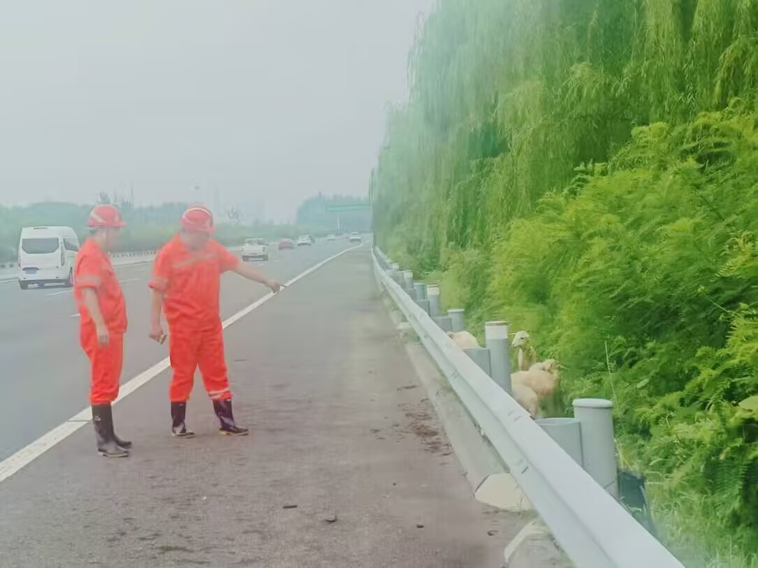 88dc94d148c071eea2acdd931df15bbe.jpg 88dc94d148c071eea2acdd931df15bbe.jpg