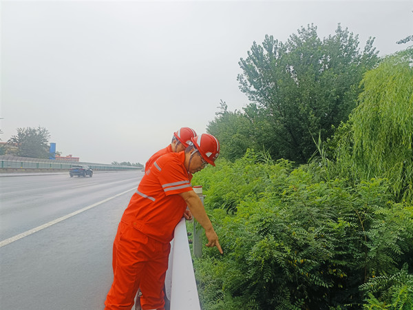 IMG20250725094248_副本.jpg IMG20250725094248_副本.jpg